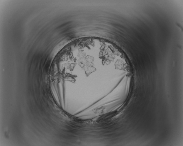 X0000100491529200807031904