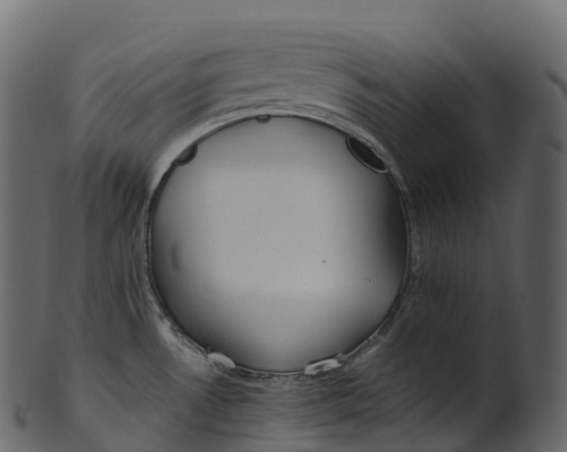 X0000100491530200807031904