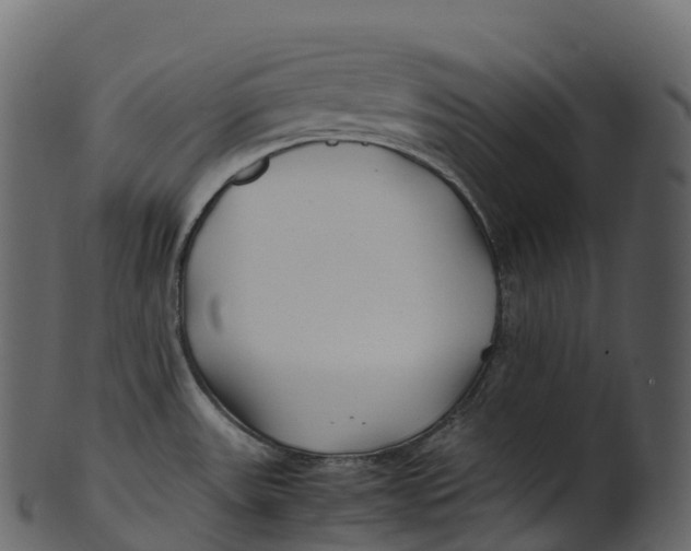 X0000100491531200807031904