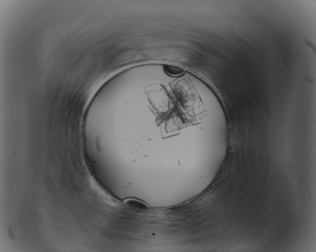 X0000100491532200807031904