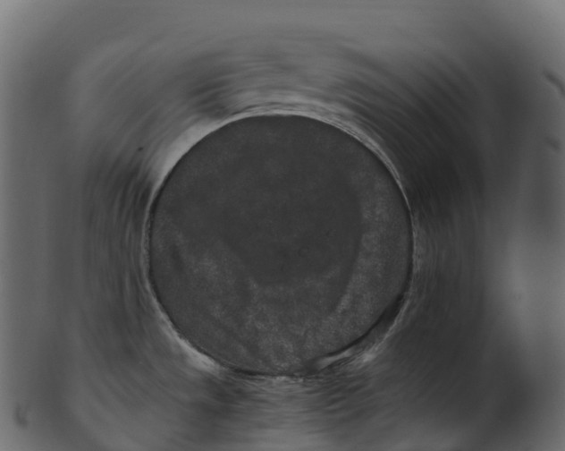 X0000100491533200807031904