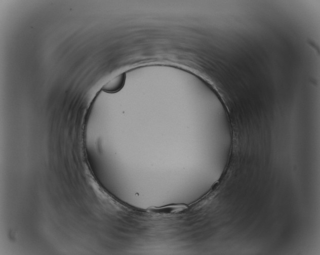 X0000100491534200807031904