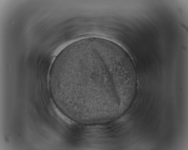 X0000100491535200807031904