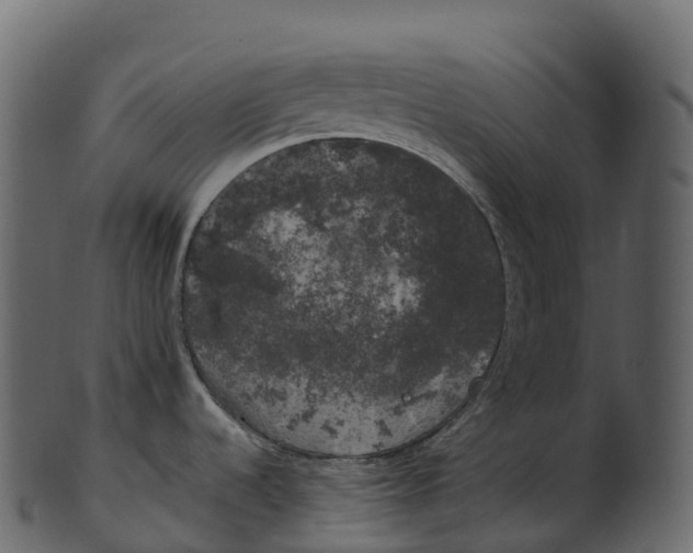 X0000100491536200807031904