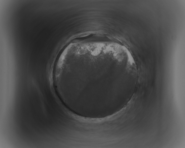 X0000100490002200807111132