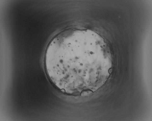 X0000100490003200807111132