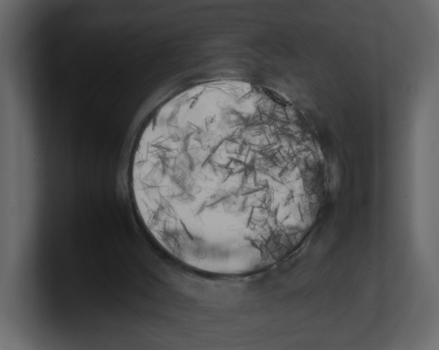 X0000100490004200807111132