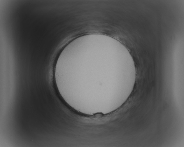 X0000100490005200807111132