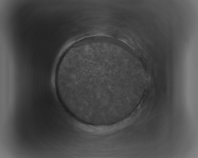 X0000100490006200807111132