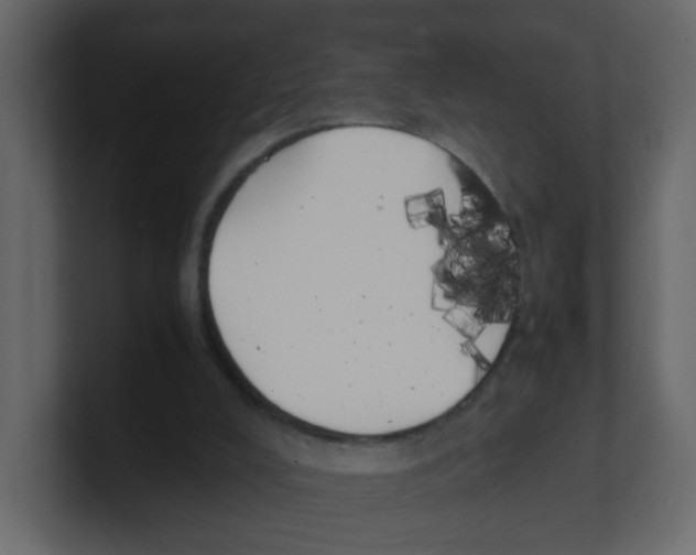 X0000100490008200807111132