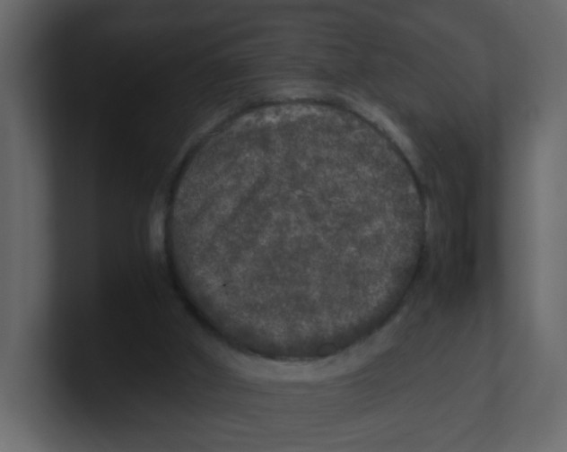 X0000100490010200807111132