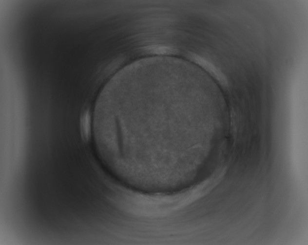 X0000100490014200807111132