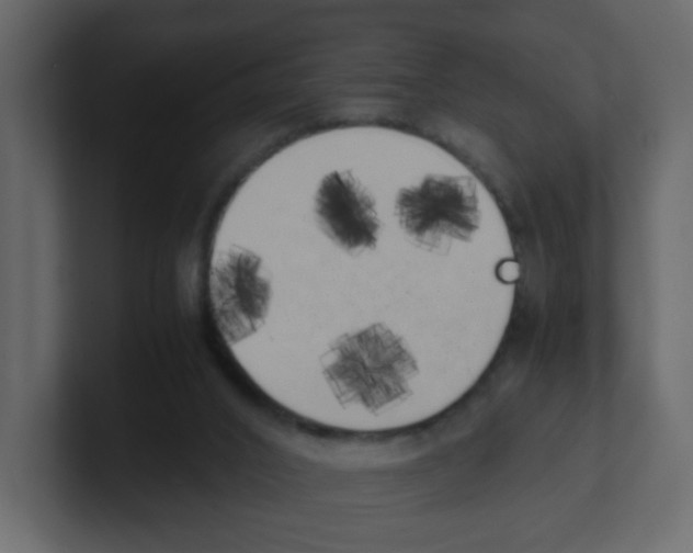 X0000100490016200807111132