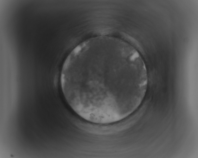 X0000100490018200807111132