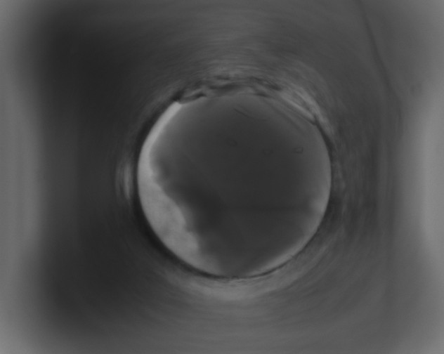 X0000100490019200807111132