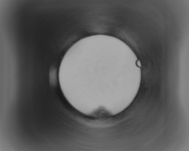 X0000100490020200807111132