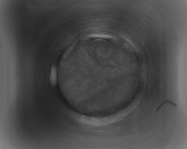 X0000100490022200807111132