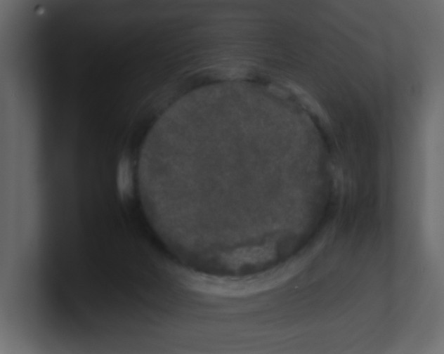 X0000100490026200807111132