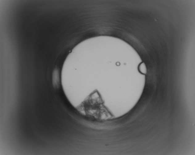 X0000100490028200807111132