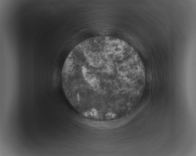 X0000100490030200807111132