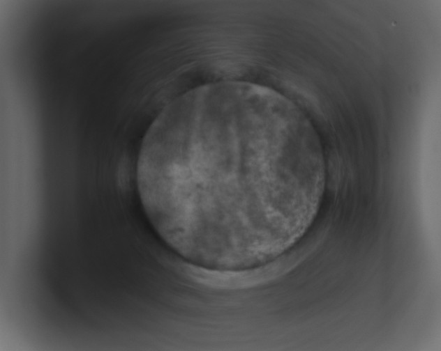 X0000100490034200807111132