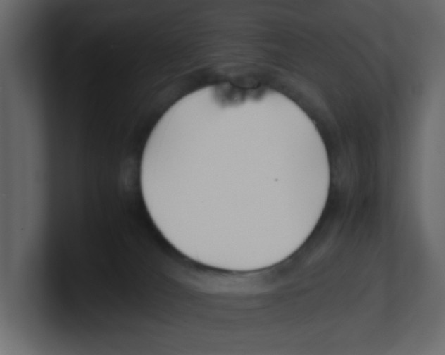 X0000100490036200807111132