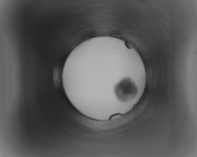 X0000100490038200807111132