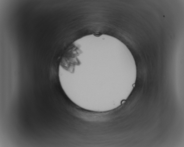 X0000100490040200807111132