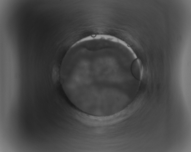 X0000100490043200807111132