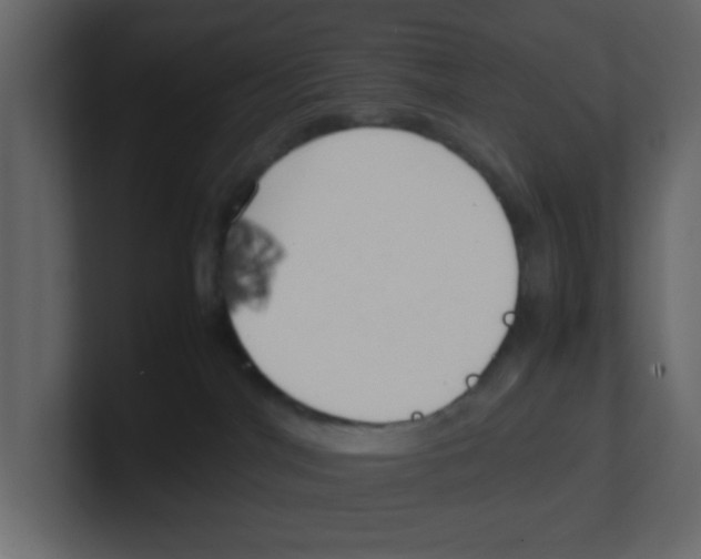 X0000100490044200807111131