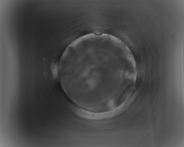 X0000100490047200807111131