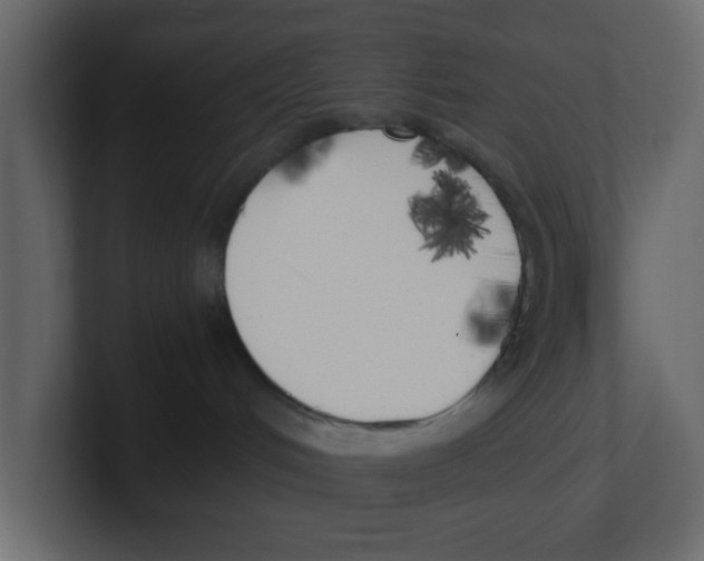 X0000100490048200807111131