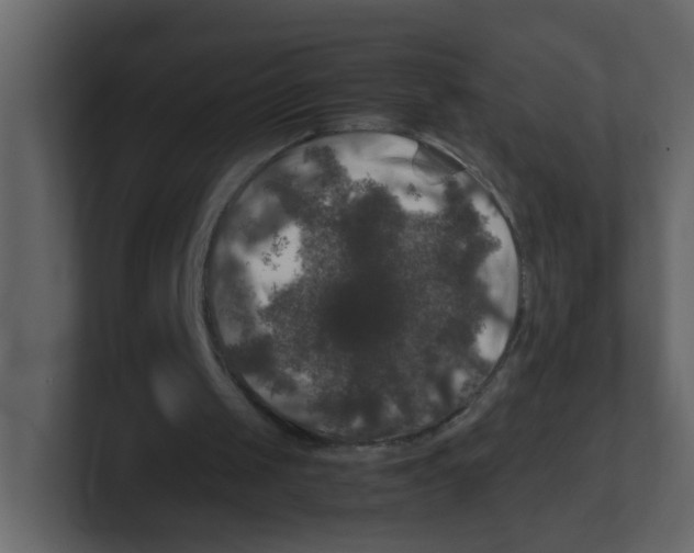 X0000100490049200807111131