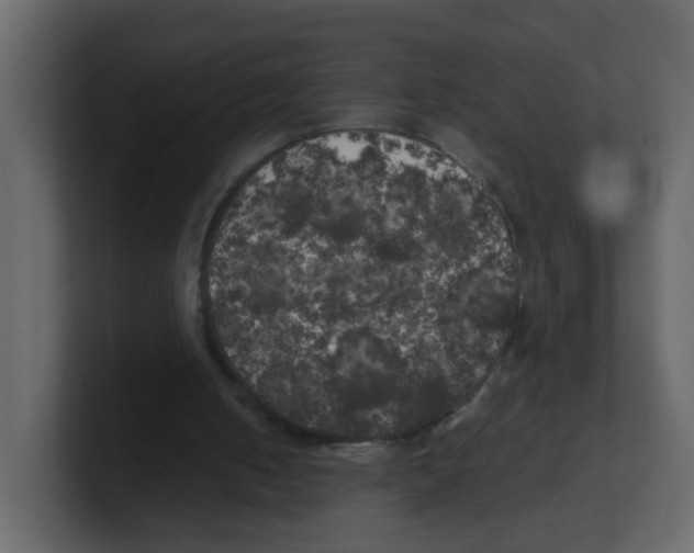 X0000100490050200807111131