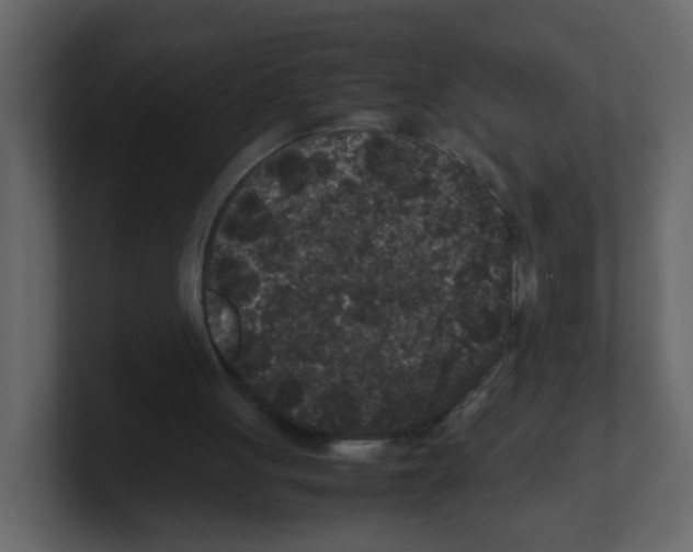 X0000100490051200807111131