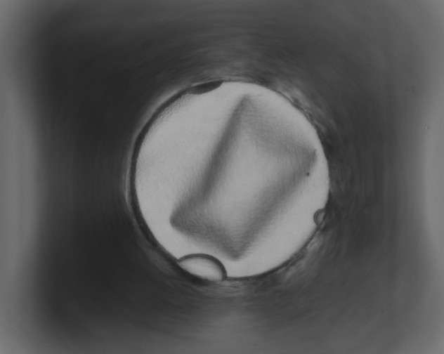 X0000100490052200807111131