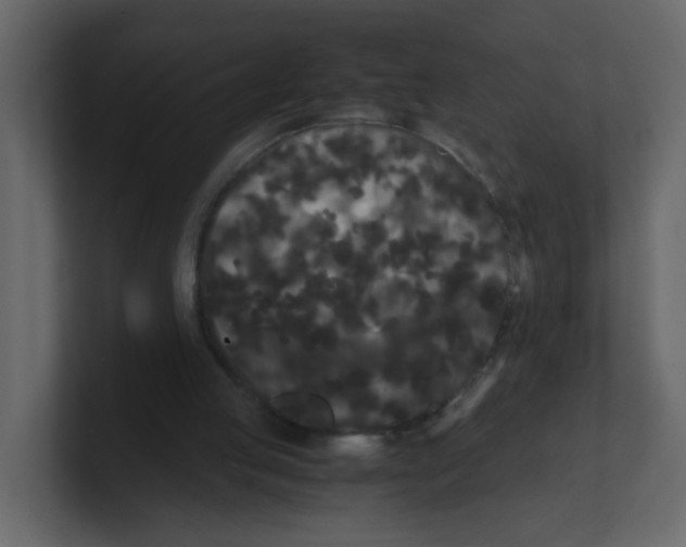 X0000100490053200807111131