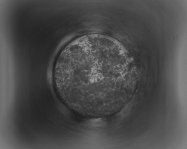 X0000100490054200807111131