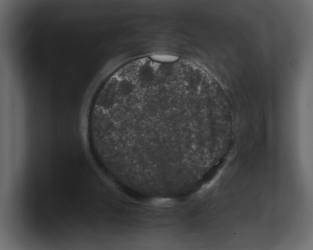 X0000100490055200807111131