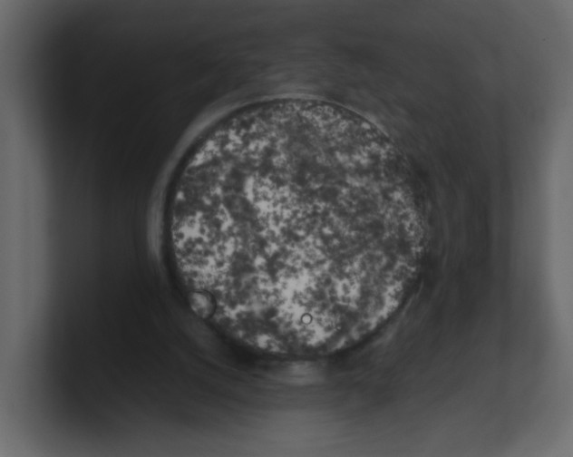 X0000100490056200807111131