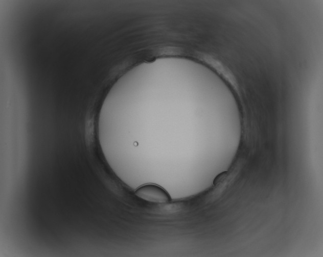 X0000100490057200807111131