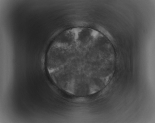 X0000100490058200807111131