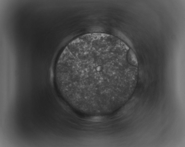 X0000100490059200807111131