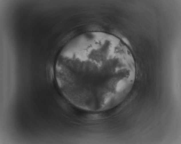 X0000100490061200807111131