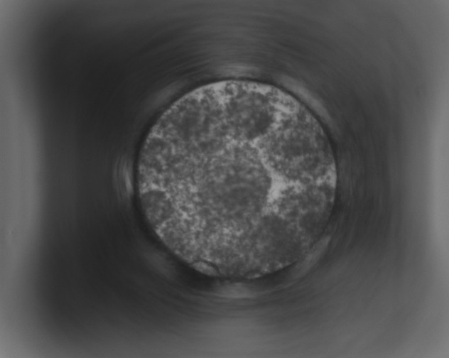 X0000100490062200807111131
