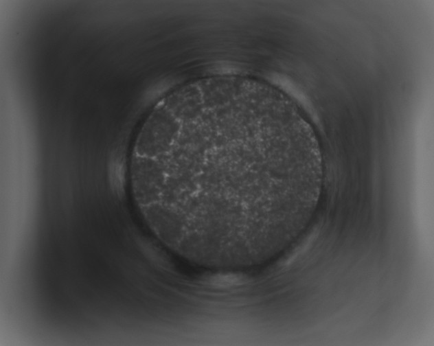 X0000100490063200807111131