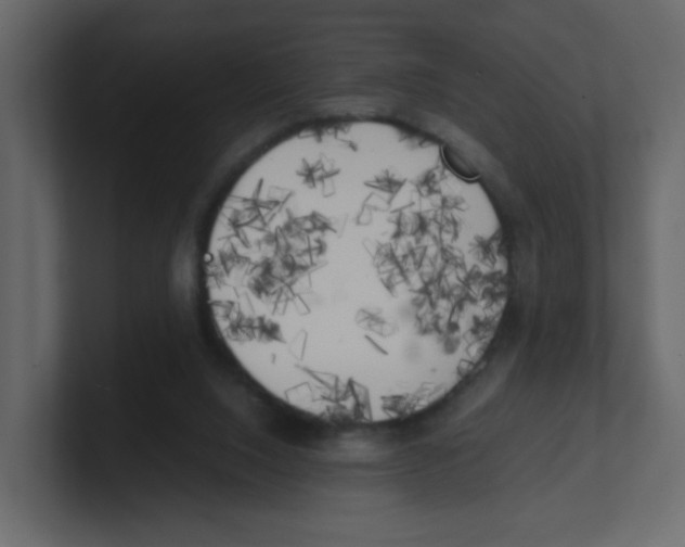 X0000100490064200807111131