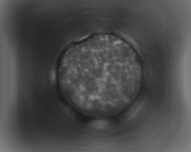 X0000100490067200807111131