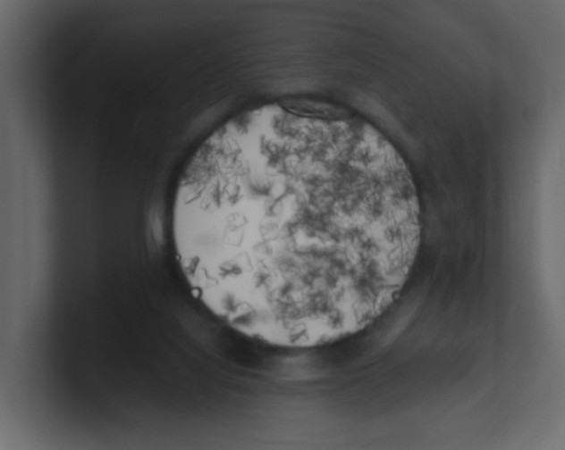 X0000100490068200807111131