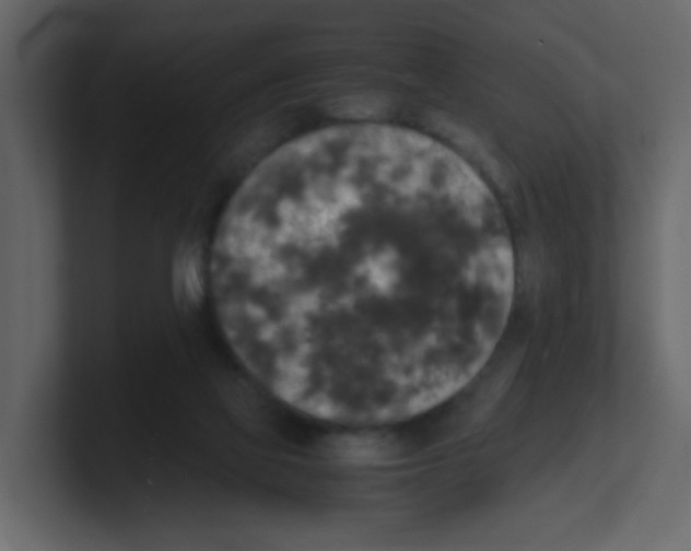 X0000100490069200807111131